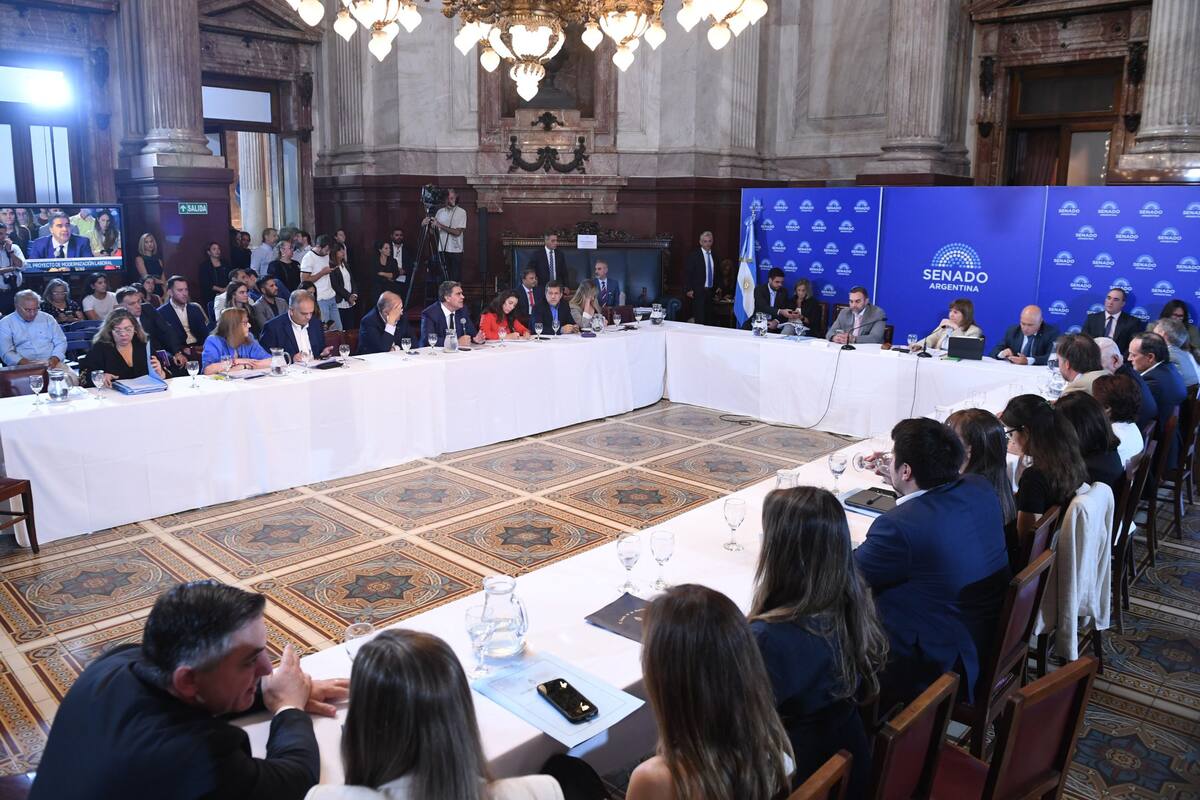 Reunión Plenaria de las comisiones de Trabajo y Previsión Social y de Presupuesto y Hacienda, en el salón Azul del Senado de la Nación