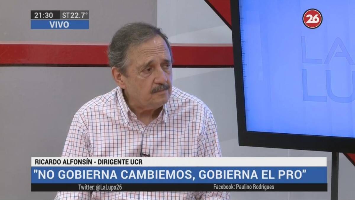 Ricardo Alfonsín - La Lupa