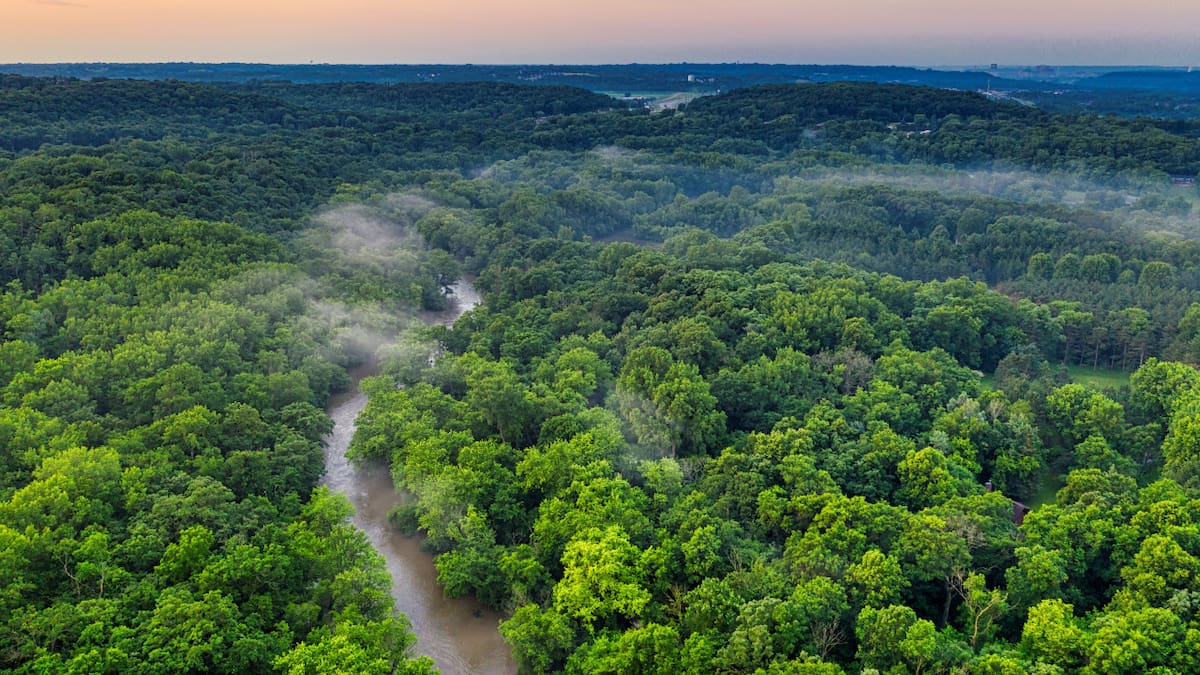 Río Amazonas. Foto: Pexels