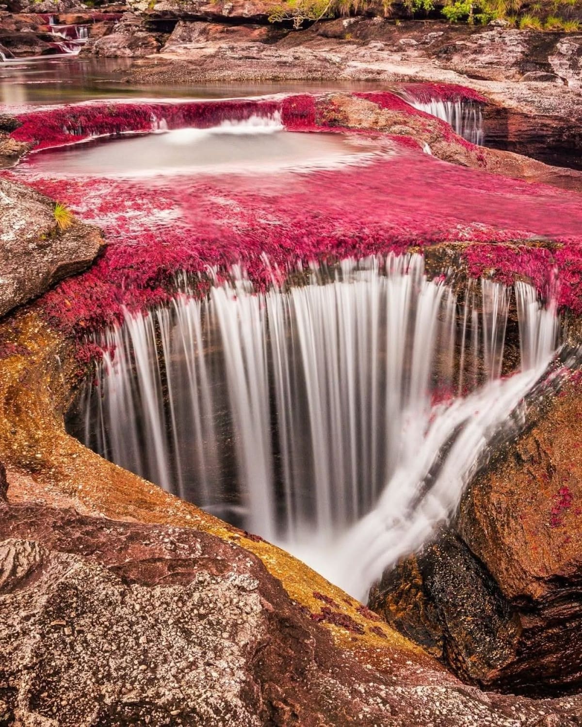 Río Caño Cristales, Colombia. Foto Instagram @depuebloenpueblo
