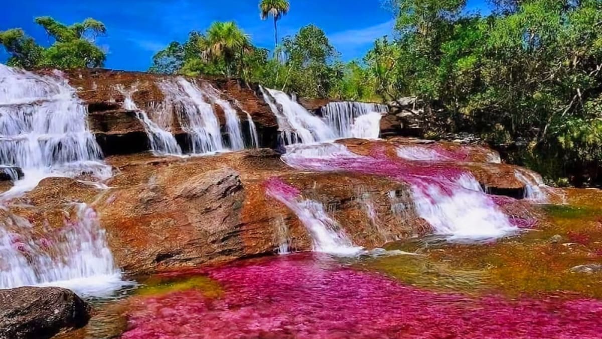 Río Caño Cristales, Colombia. Foto Instagram @rockandrollandphotos