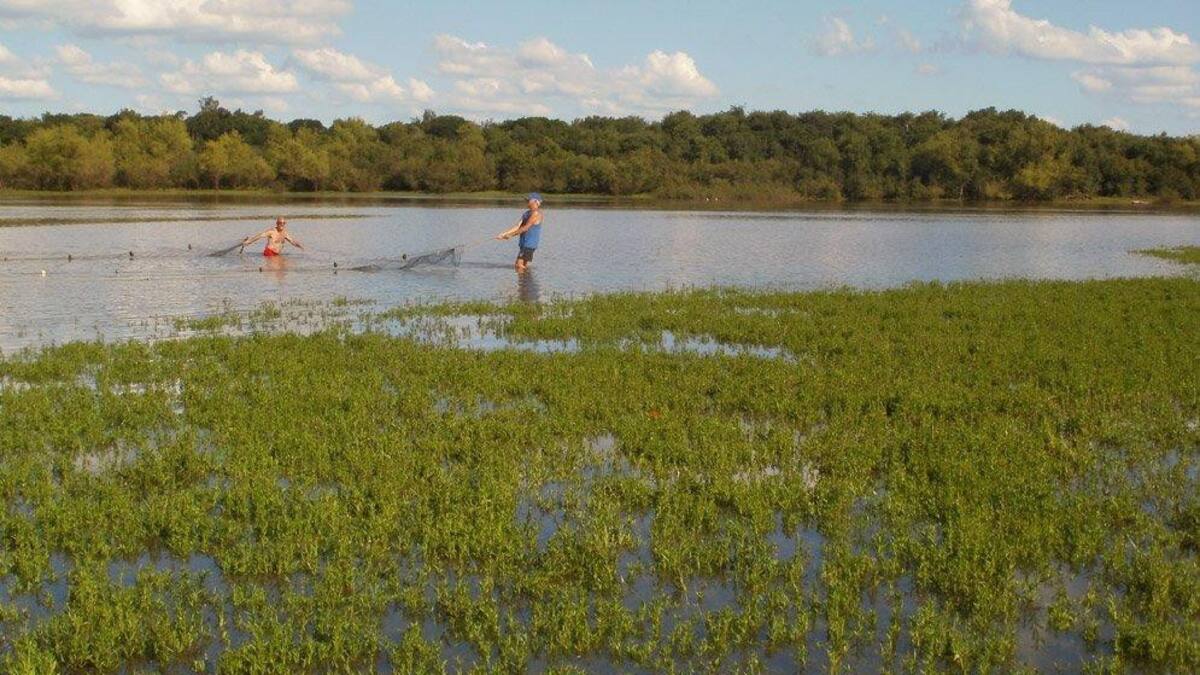 Río Uruguay - estudio Conicet