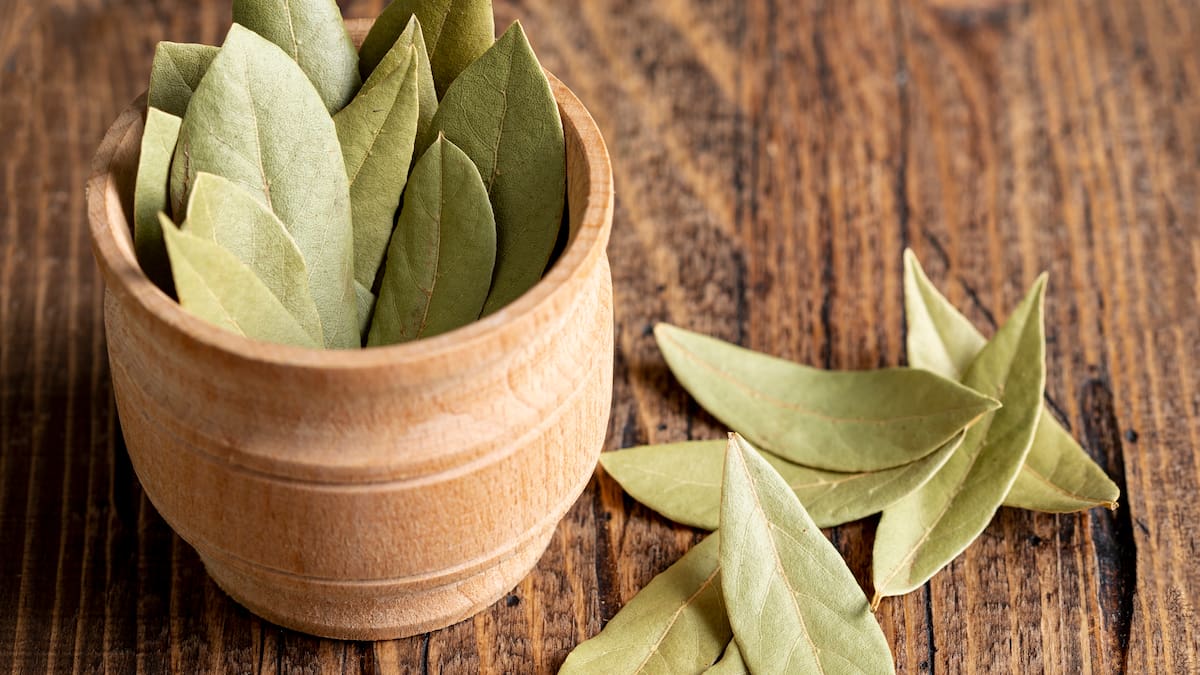 Dónde colocar un recipiente con hojas de laurel para atraer la riqueza durante octubre, según el Feng Shui