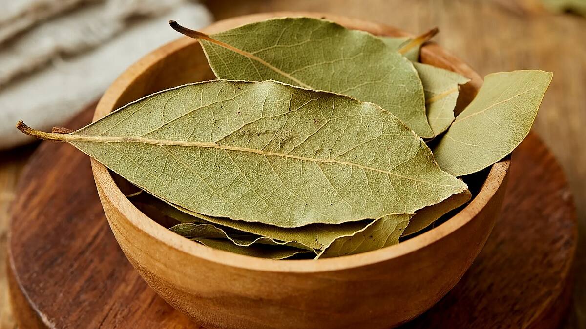 Para qué sirve poner una hoja de laurel en la aspiradora.