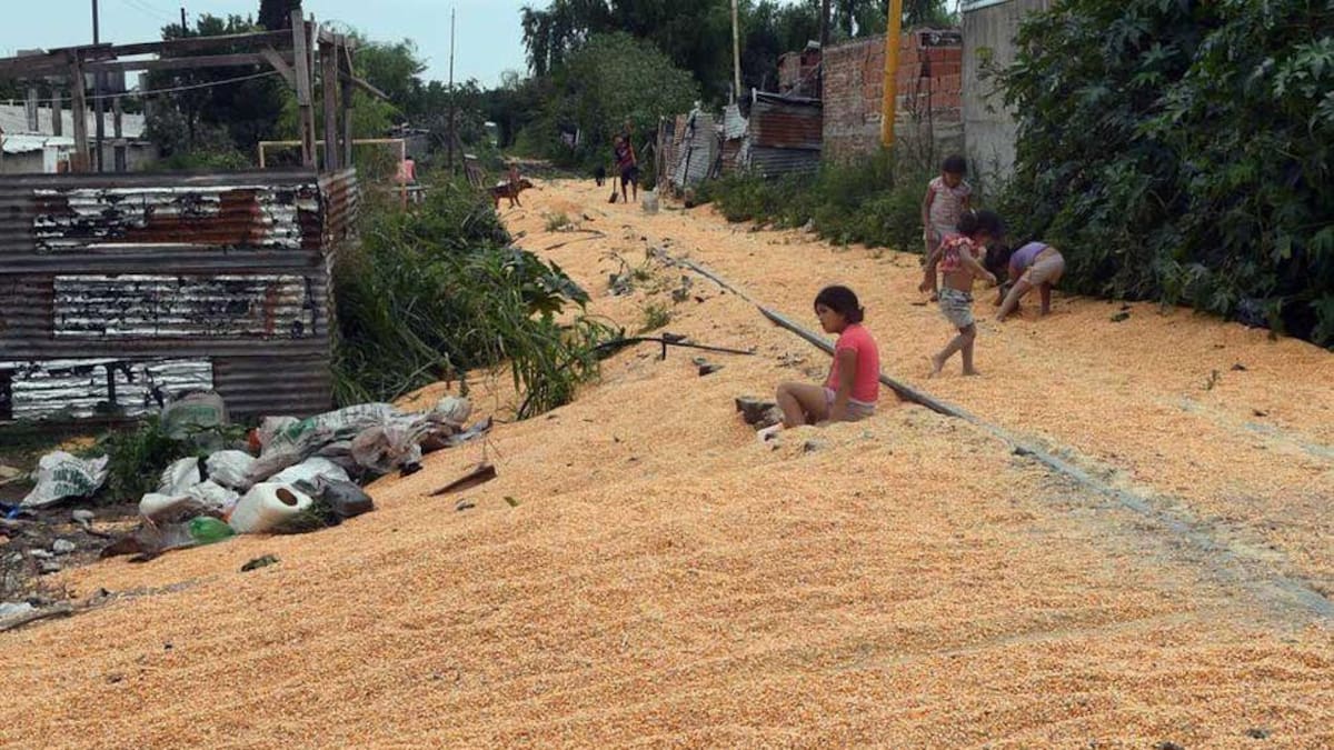 Robo al tren Belgrano Cargas que traslaba maíz en Santa Fe