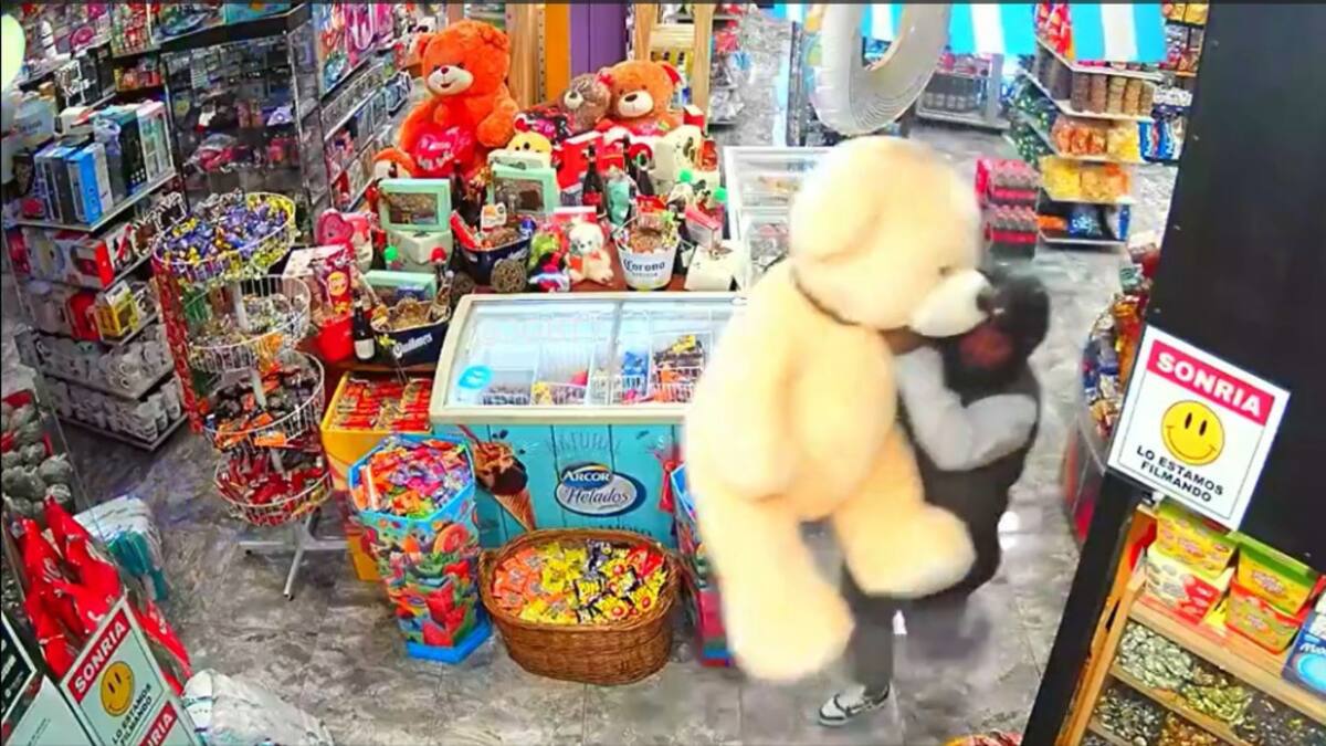 Robo de peluche en maxikiosco. Foto: Twitter.