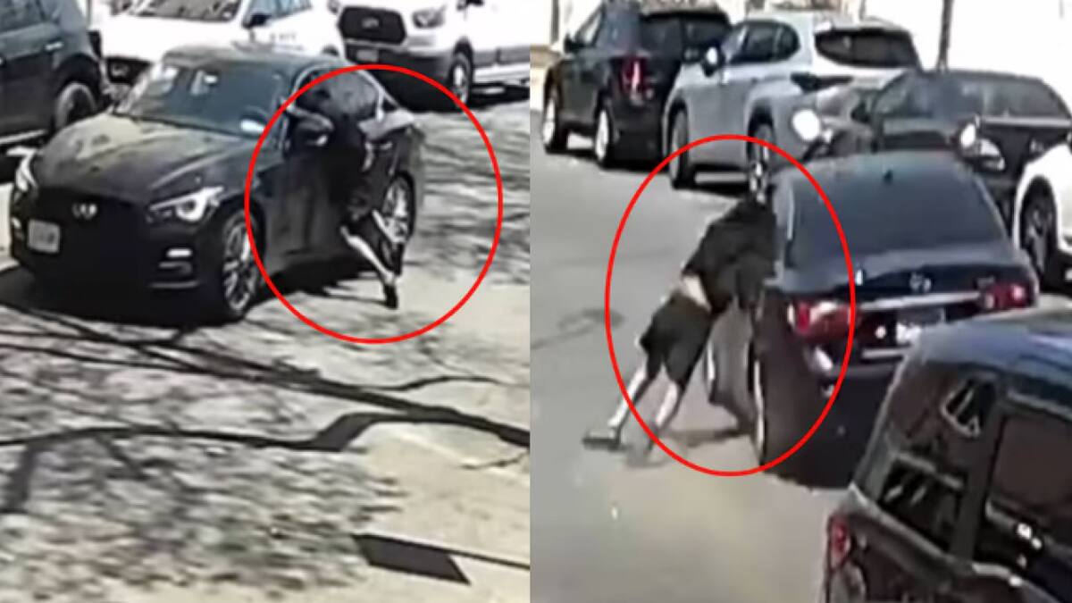 Robo de un auto en el Bronx que terminó con un herido grave. Foto: Captura de video ABC News.