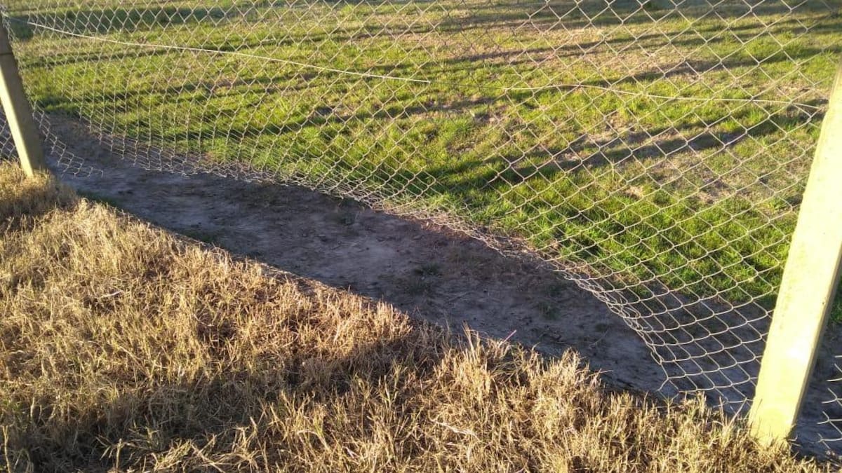 Nuevo robo en country de Canning: ataron a mujer y sus hijas, se llevaron plata y una tv