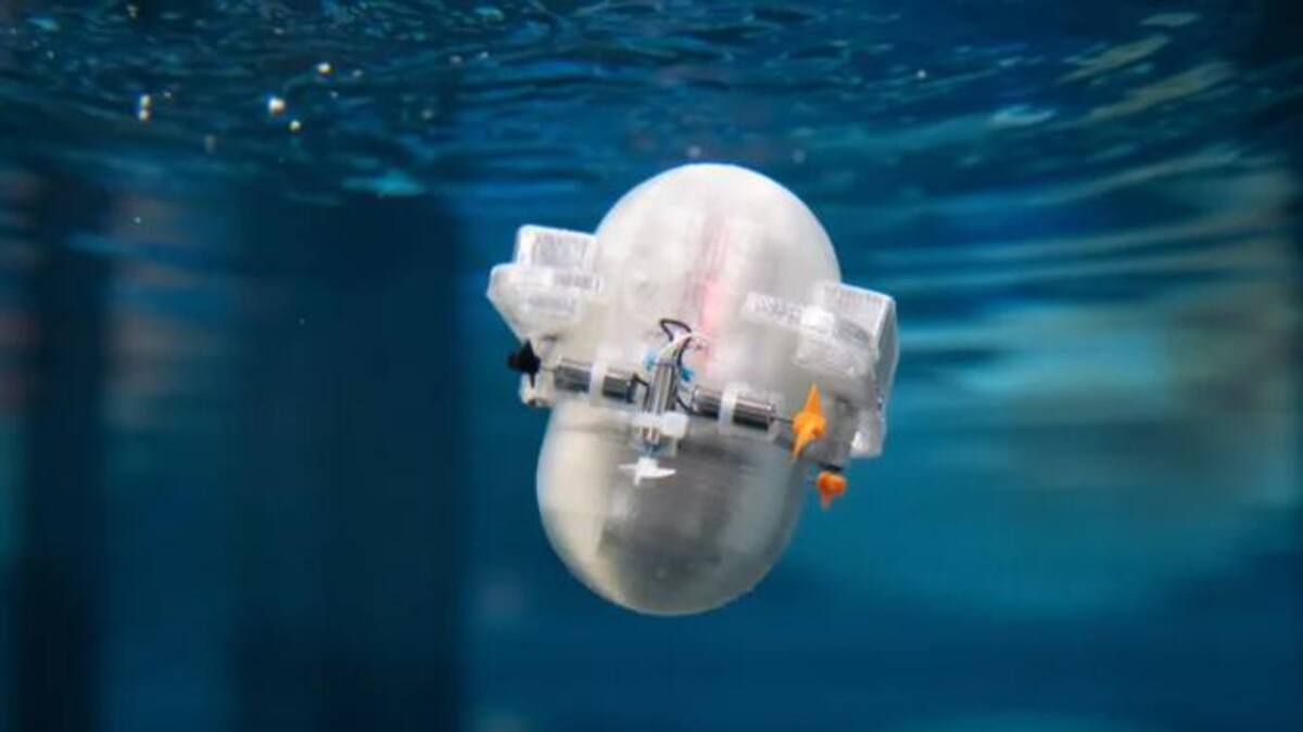 Robot marino