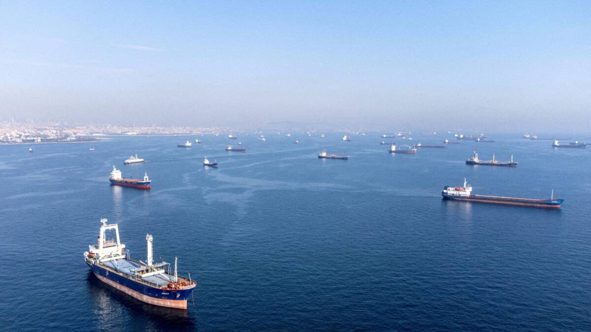 Rusia pone fin al acuerdo de granos. Foto: Reuters.