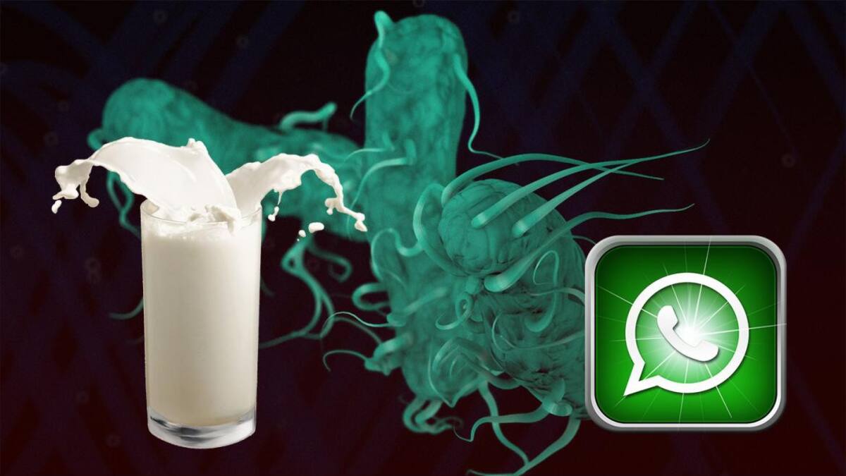 Salmonella y Whatsapp