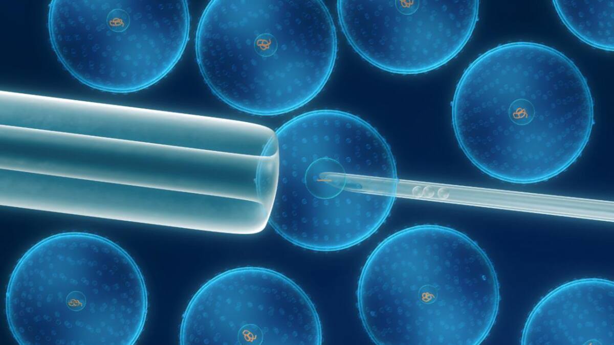 Salud - células madres