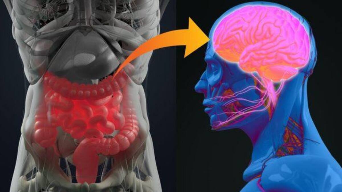Afecciones intestinales pueden advertir de la patología años antes de sus primeros síntomas.