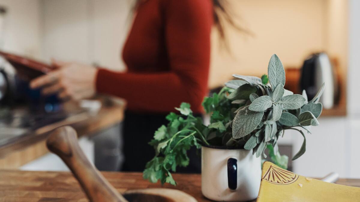 Salvia. Foto: Unsplash
