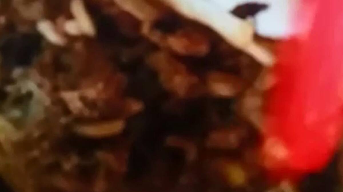 San Miguel, denunciaron presencia de gusanos en comida de escuela secundaria