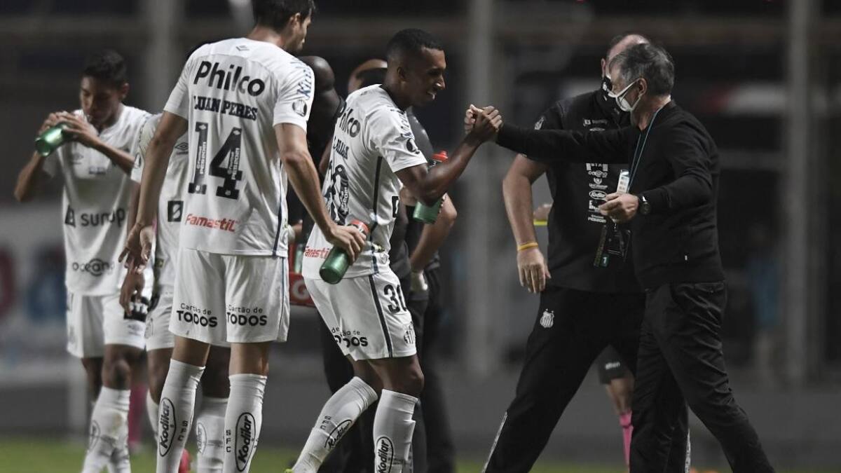 Santos de Brasil, Copa Libertadores, NA.
