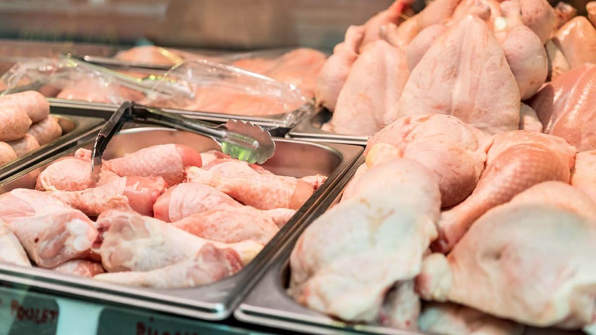 La sobreoferta de pollo por el cierre de las exportaciones bajó los precios.
