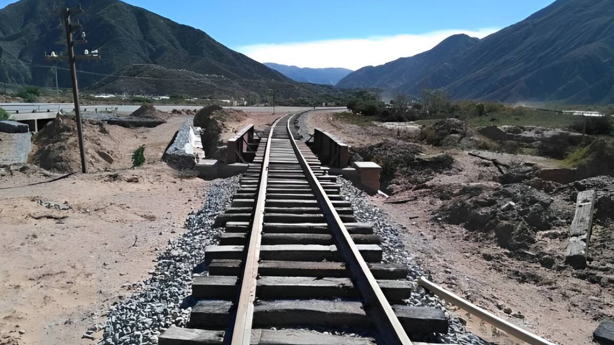 Se reacondicionaron 45 kilómetros de vías para que el tren solar pueda funcionar. Foto: NA.