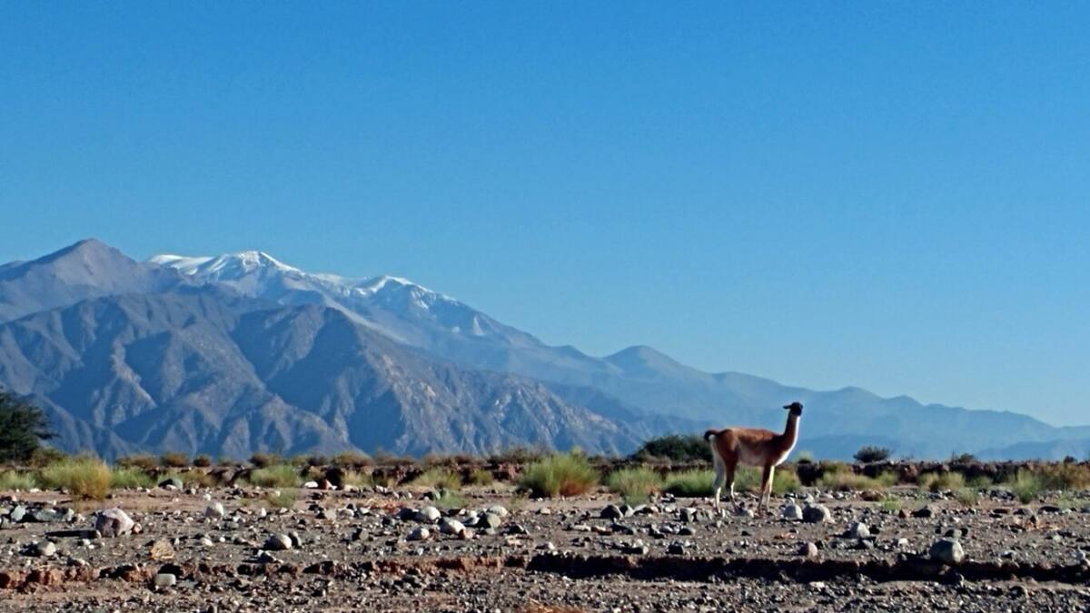 Seclantás, pueblo. Foto: seclantas.gob.ar