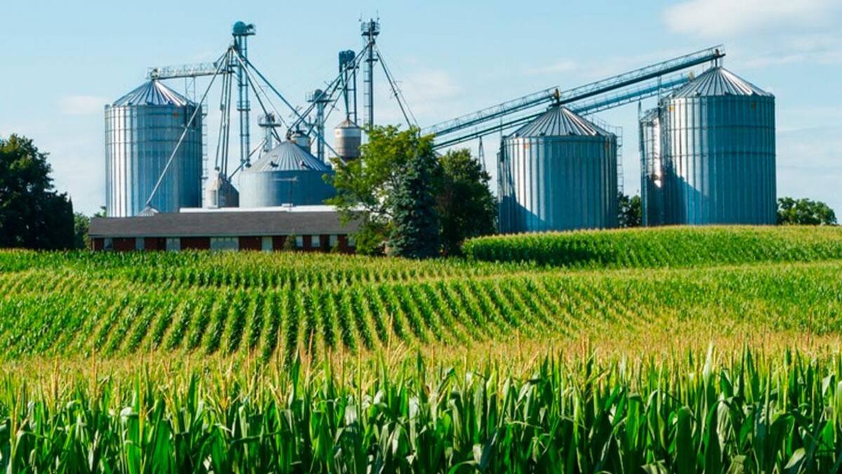 Sector agroindustrial, agro