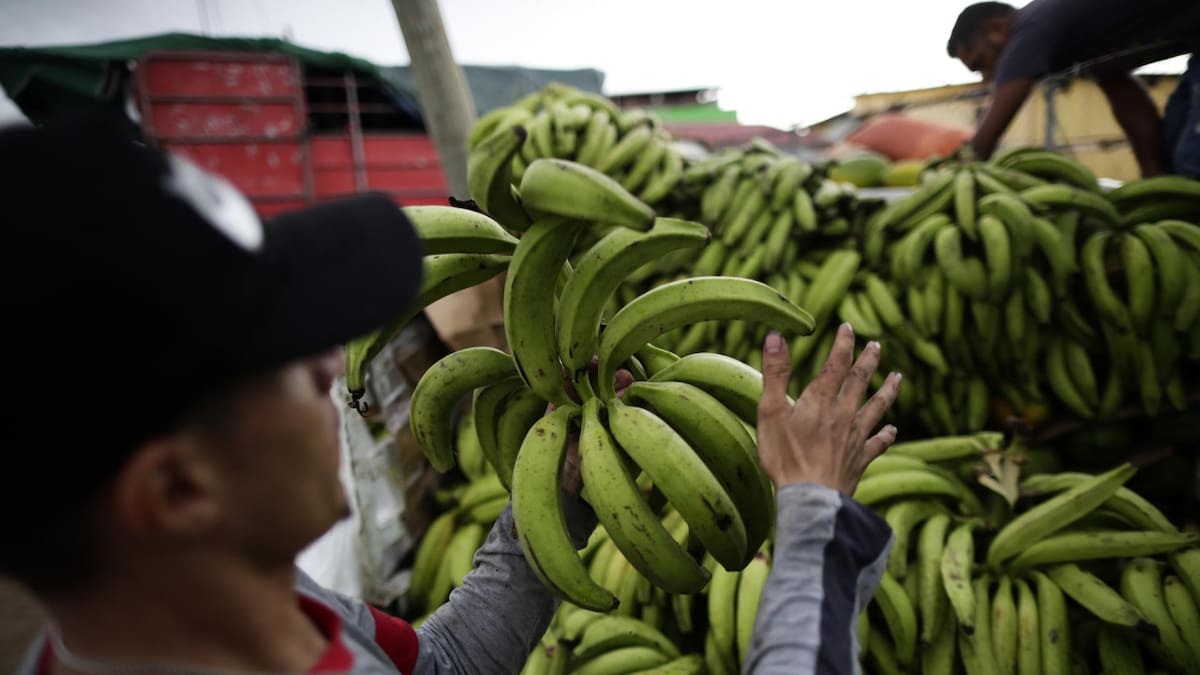 Según los expertos, las dietas se han "occidentalizado". Foto: EFE.