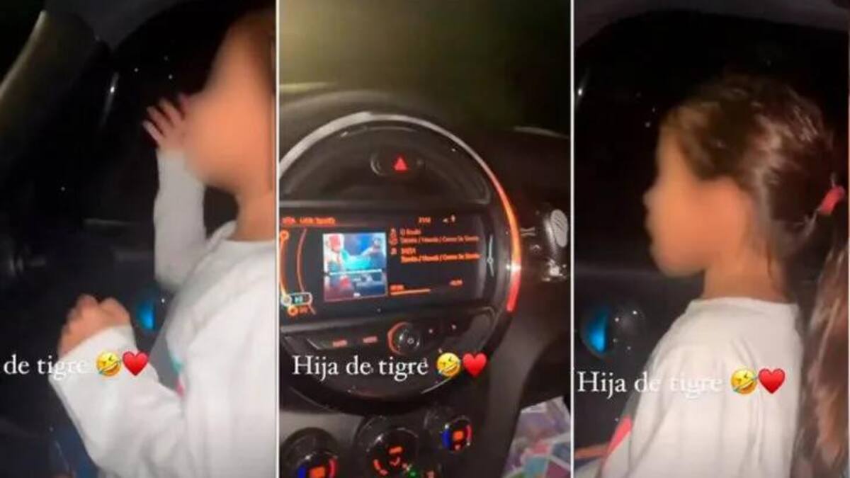 Seguridad Vial pidió la suspensión de la licencia de Matías Defederico, grabó video manejando con su hija