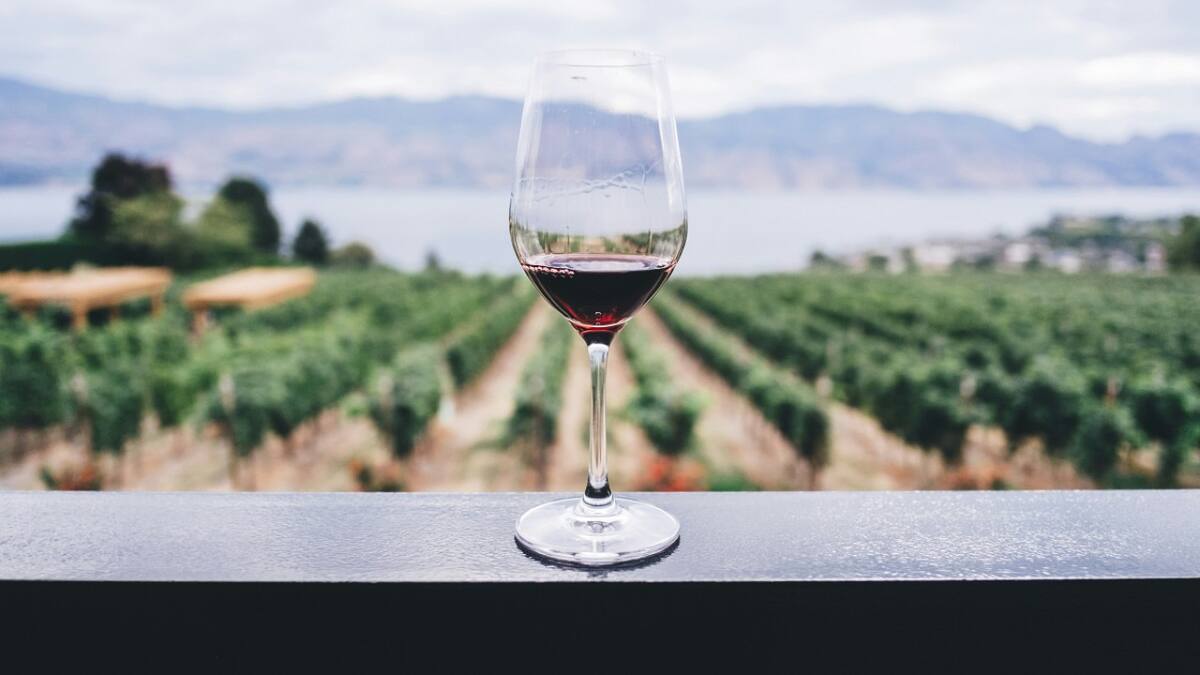 Semana del Vino en Calamuchita, Córdoba. Foto: Unsplash.