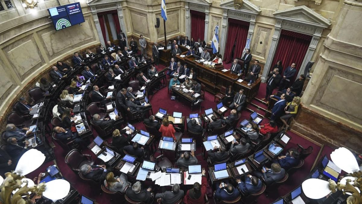 Senado - votación aborto Agencia NA