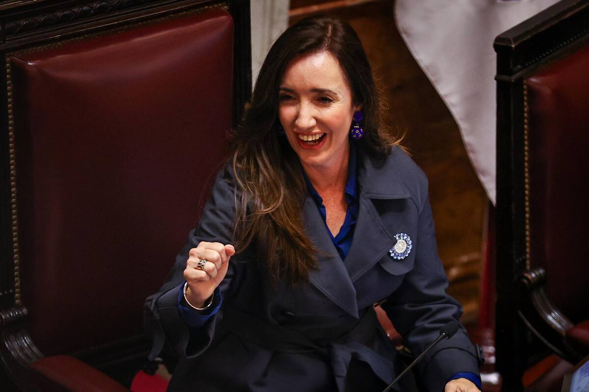 Senado; Ley Bases. Foto: EFE