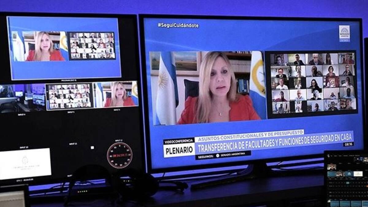 Senado, sesión virtual, teleconferencia