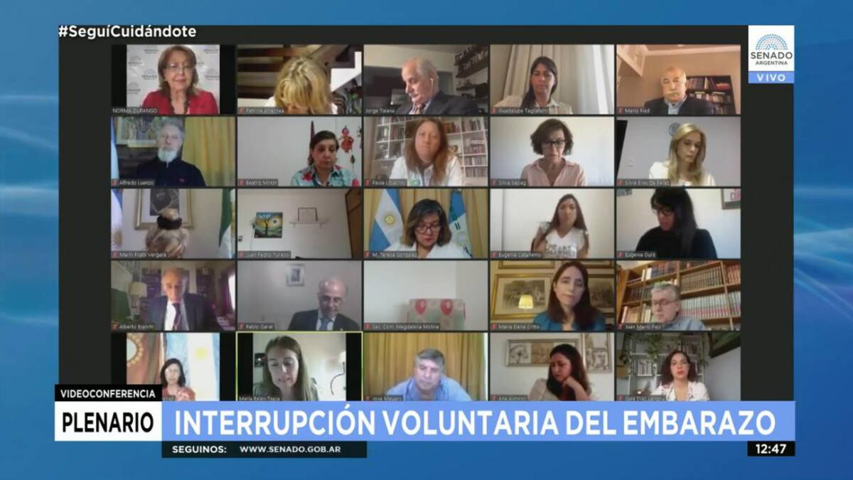 Senado, sesión virtual, teleconferencia