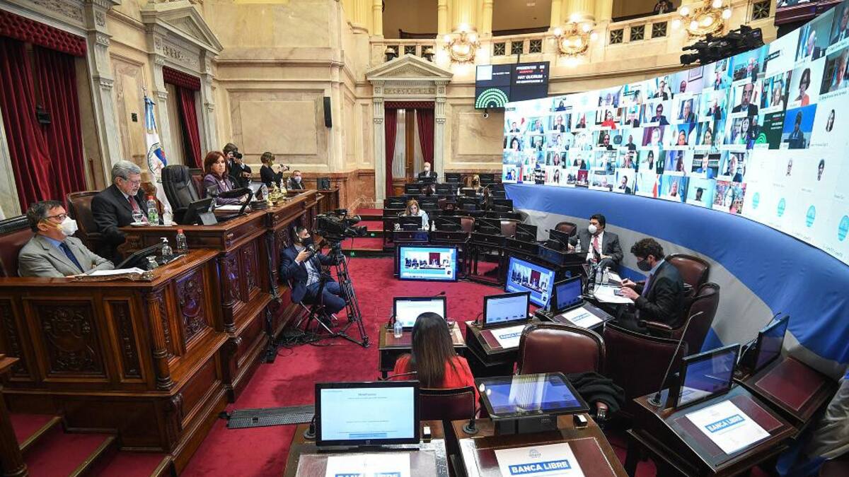 Senado, sesión virtual, teleconferencia, NA