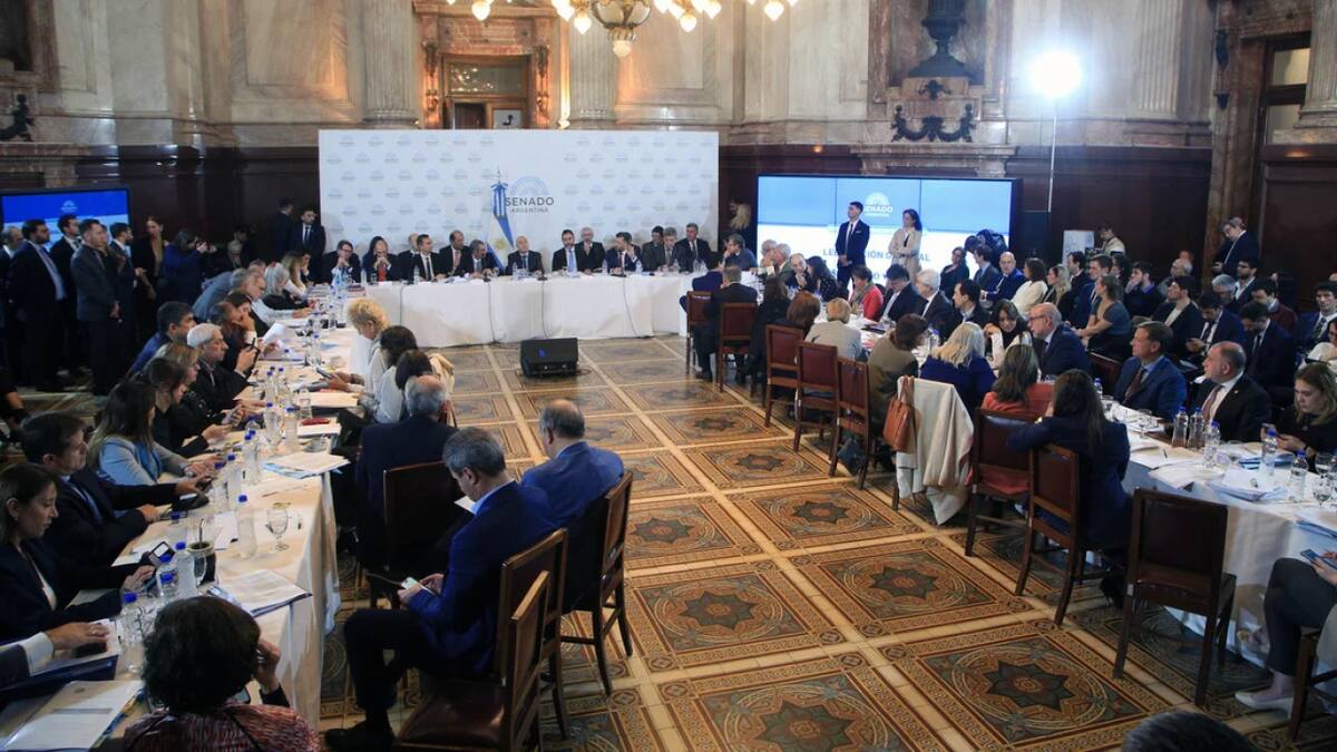 Senado, tratamiento de la Ley Bases y el Paquete Fiscal. Foto: NA