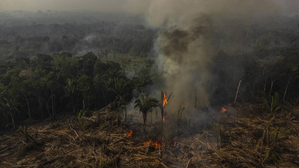 Septiembre es la época más seca y en la que se desatan más fuegos en Amazonas. Foto EFE.