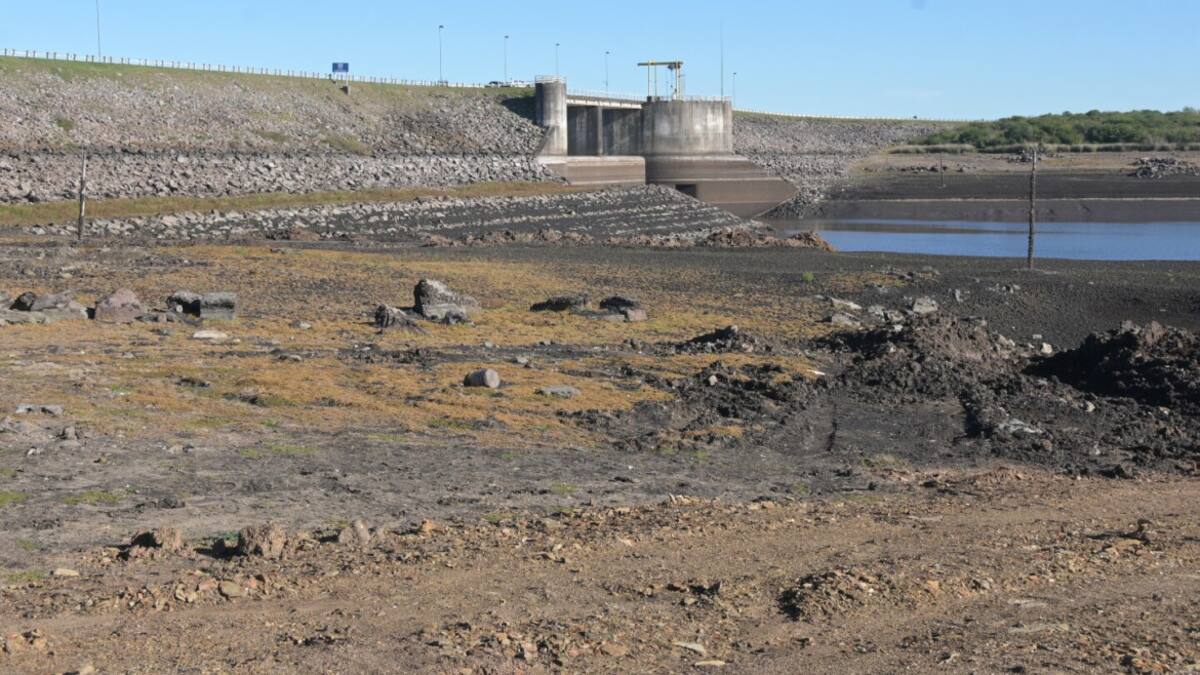 Sequía en Uruguay. Foto: EL PAÍS