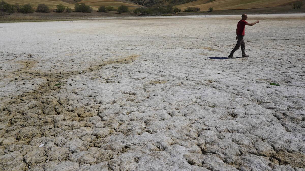 Sequía preocupante en todo África. Foto: EFE