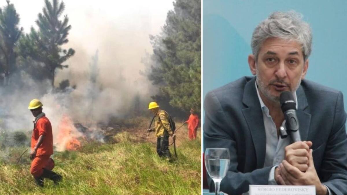 Sergio Federovisky, incendios en Corrientes, NA