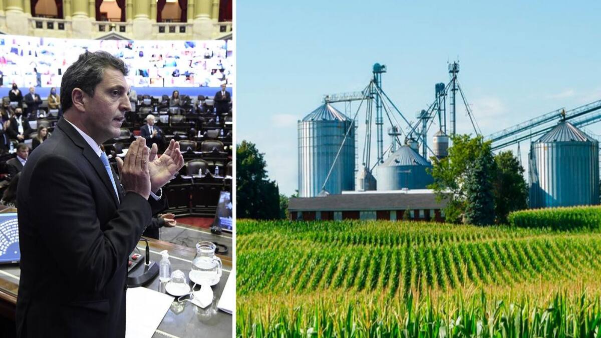 El sector Agroindustrial consideró positiva la iniciativa parlamentaria de Sergio Massa contra el "vandalismo Rural"