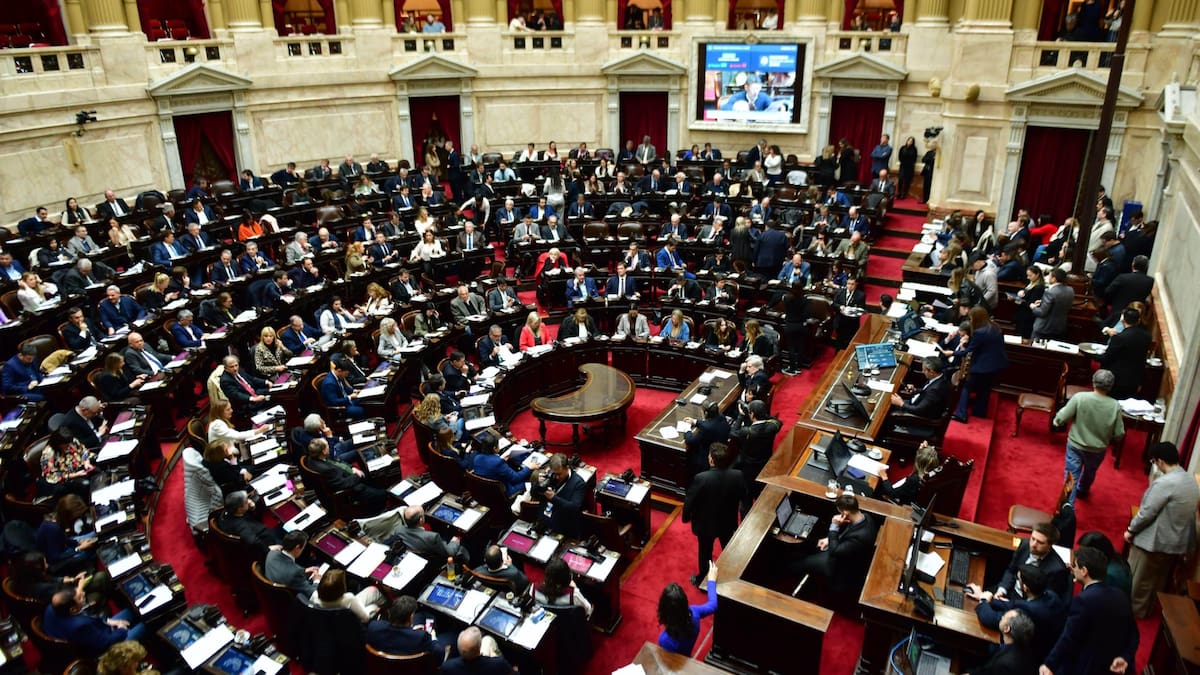 Sesión en Diputados.