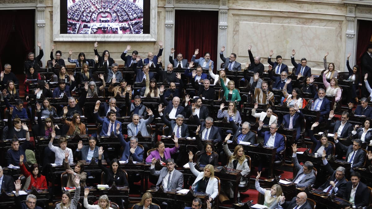 Sesión caliente en Diputados: la oposición logró el quórum y fijó plazos para debatir Morosidad y Emergencia en Discapacidad
