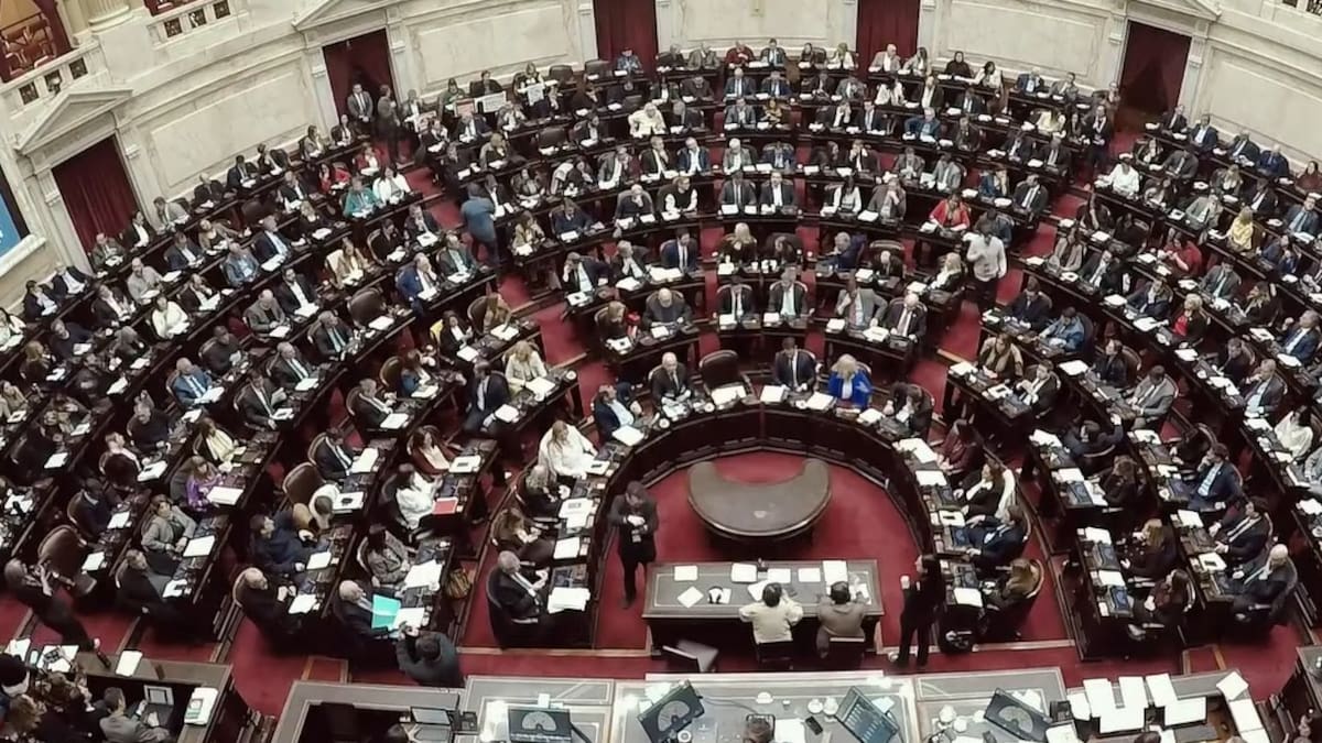 Comenzó la sesión en la Cámara de Diputados para tratar la reforma del Banco Central y el proyecto de Ley de Inocencia Fiscal II