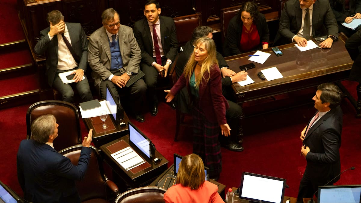 Giro inesperado: el Senado finalmente debatirá el pliego de la jueza Michelli que Milei quiso retirar