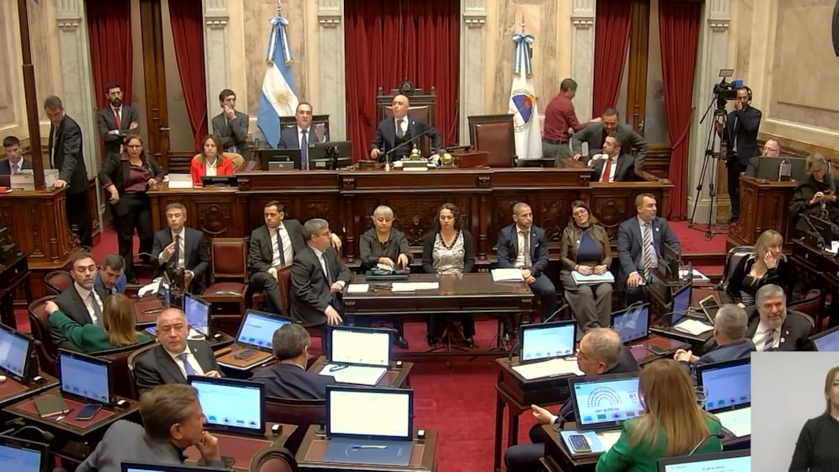 Se debate la Ley de Inviolabilidad de Propiedad Privada en el Senado: la sesión podría terminar a las diez de la noche