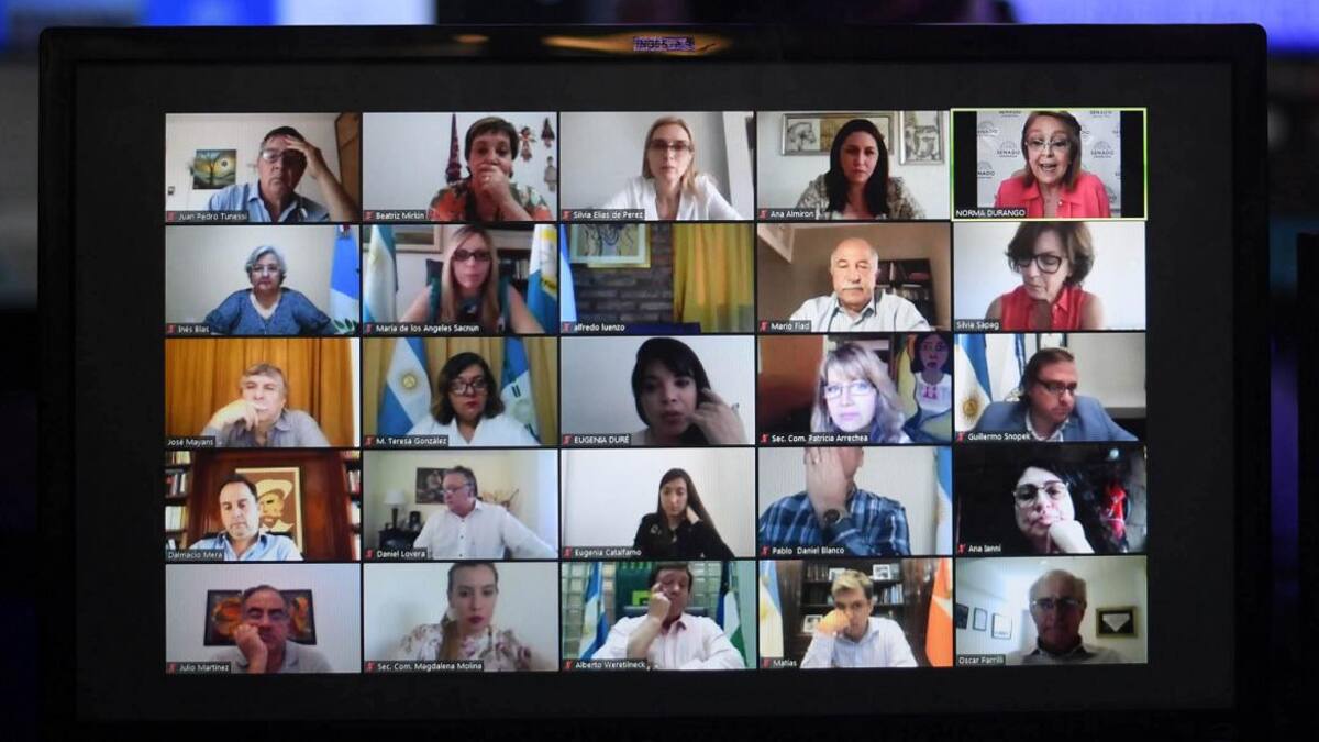 Sesión remota en el Senado, debate del aborto, NA