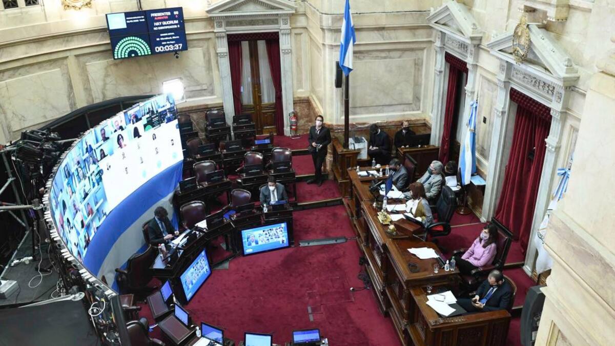 Sesión virtual en Senado, Congreso, Agencia NA
