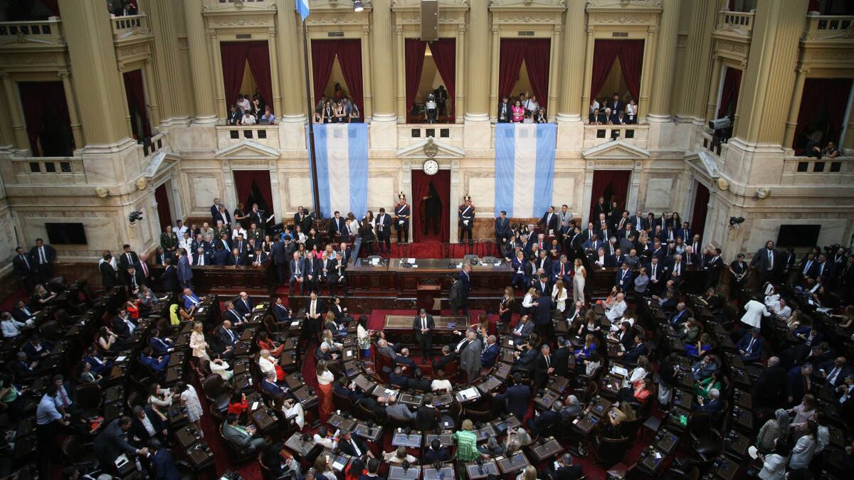 Sesiones ordinarias del Congreso. Foto: NA