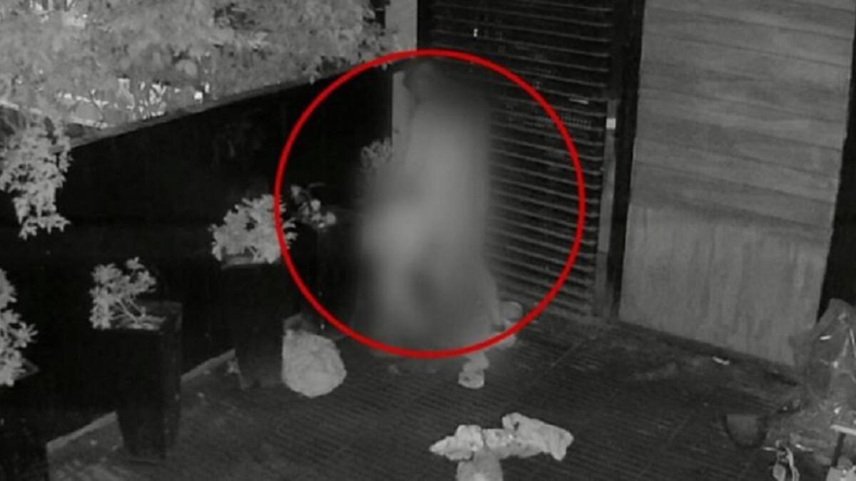 Sexo en un bar. Foto: NA / Cámara de seguridad.