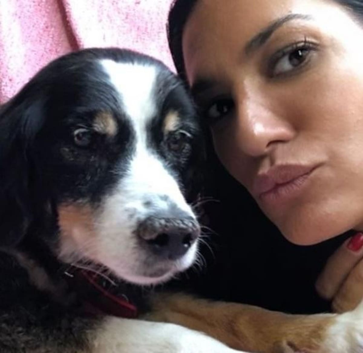 Silvina Escudero Perro