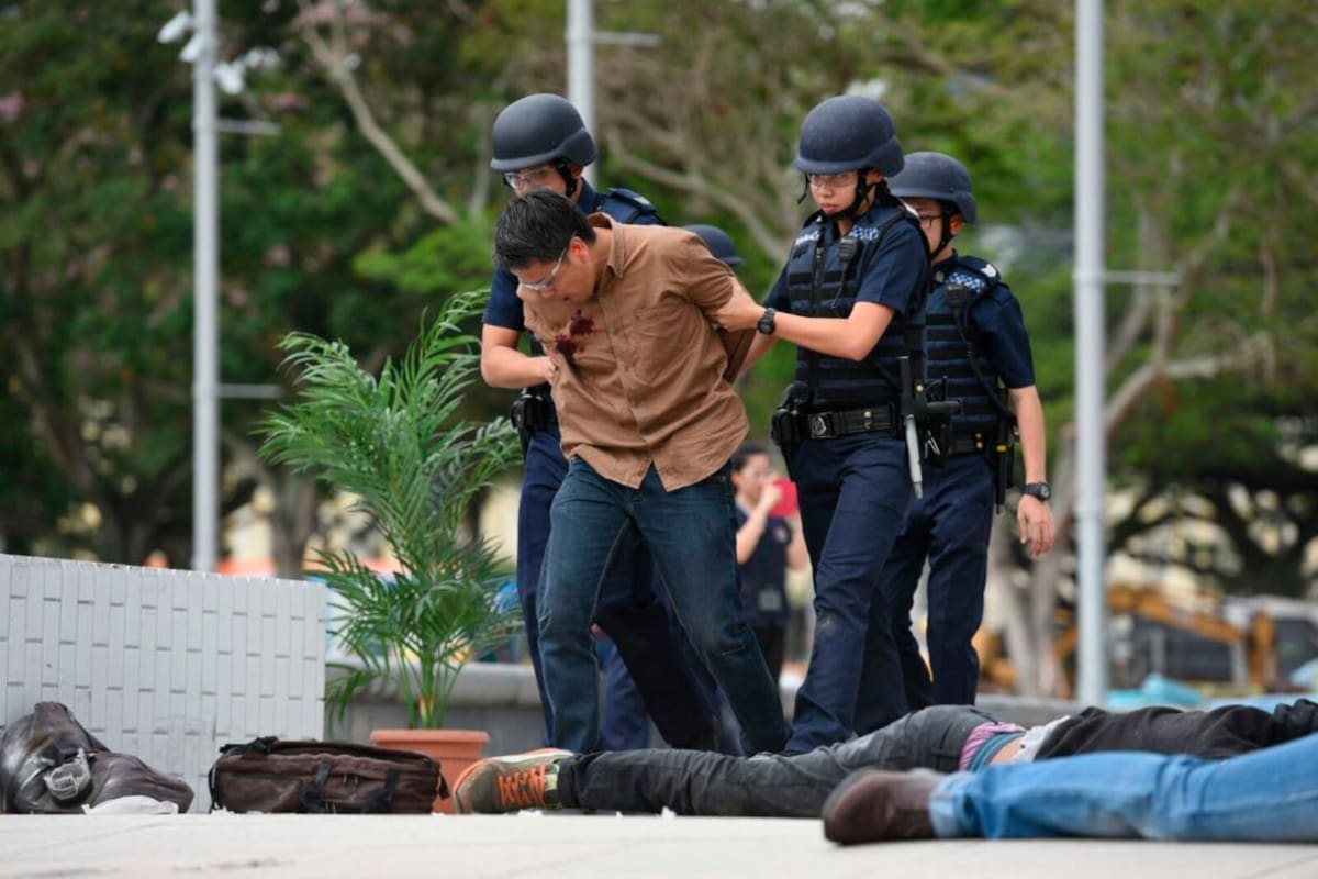 Singapur, el país que erradicó la delincuencia con pena de muerte y trabajos forzados