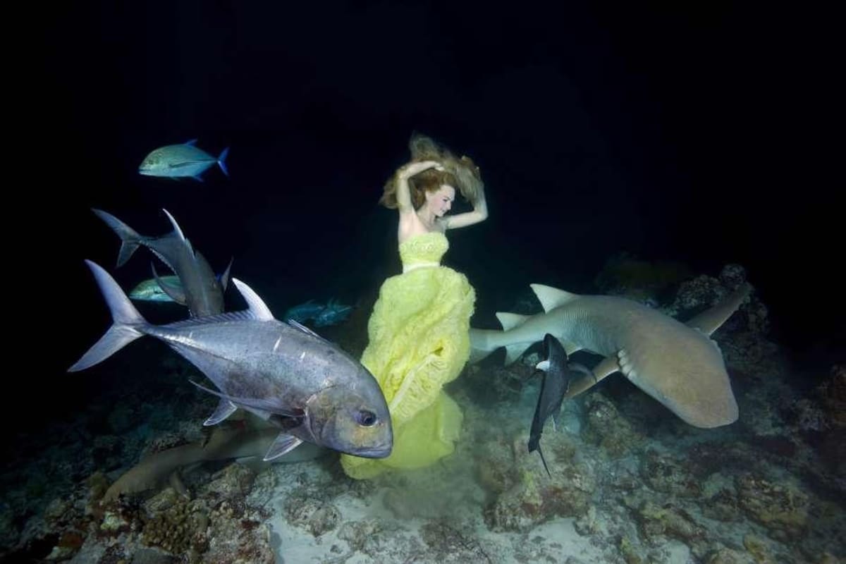 Sirena - tiburones